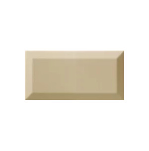 Bisel Olive Brillo 10x20 - Ribesalbes