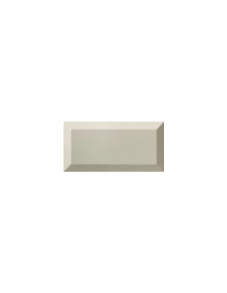 Bisel Light Grey Brillo 10x20 - Ribesalbes