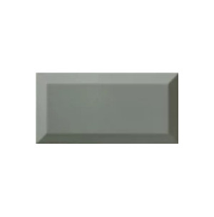 Bisel Sage Brillo 10x20 - Ribesalbes