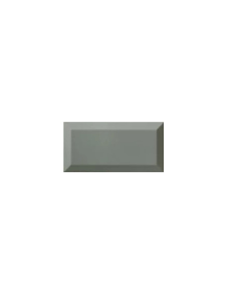 Bisel Sage Brillo 10x20 - Ribesalbes