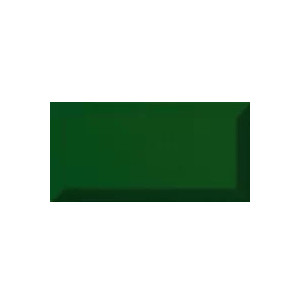 Bisel Verde Botella Brillo 10x20 - Ribesalbes
