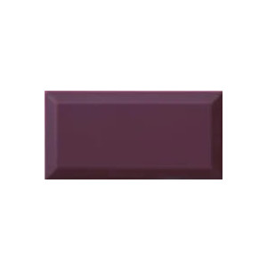 Bisel Plum Brillo 10x20 - Ribesalbes