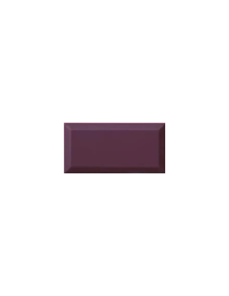 Bisel Plum Brillo 10x20 - Ribesalbes