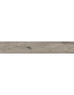 Alabama Cenere 20x120 - APE 2