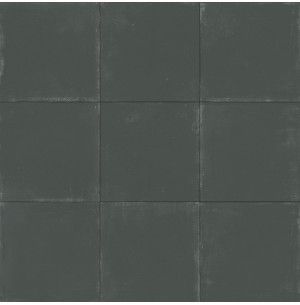 Tango Anthracite Natural 60x60 - Aparici