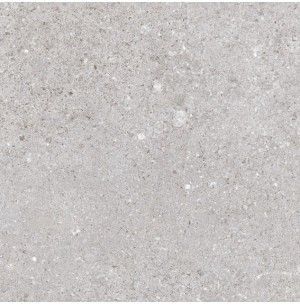 Nassau Gris 20x20 - Vives 2