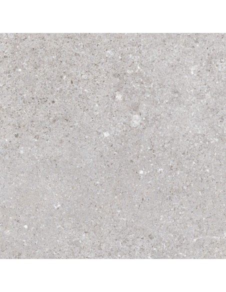 Nassau Gris 20x20 - Vives