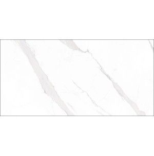 Statuary Blanco Pulido 60x120 - Geotiles 2