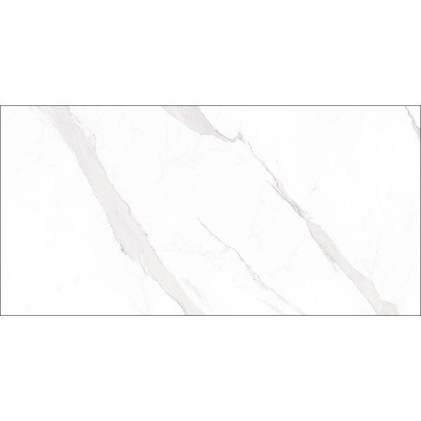 Statuary Blanco Pulido 60x120 - Geotiles