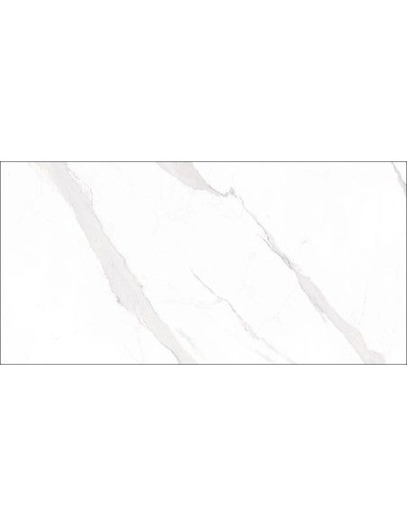 Statuary Blanco Pulido 60x120 - Geotiles