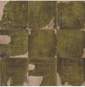 Carton Green Natural 60x60 - Aparici