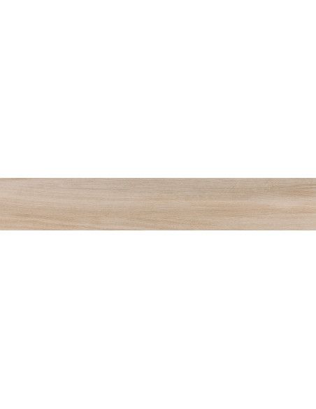 Rainier Arena 20x120 - Pamesa