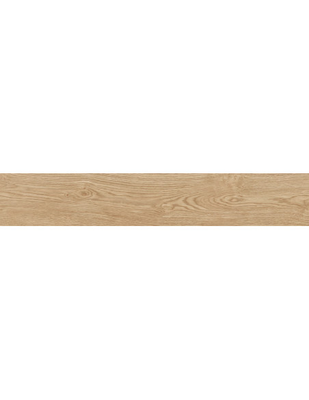 Granier Taupe AS 19,5x121 - Peronda