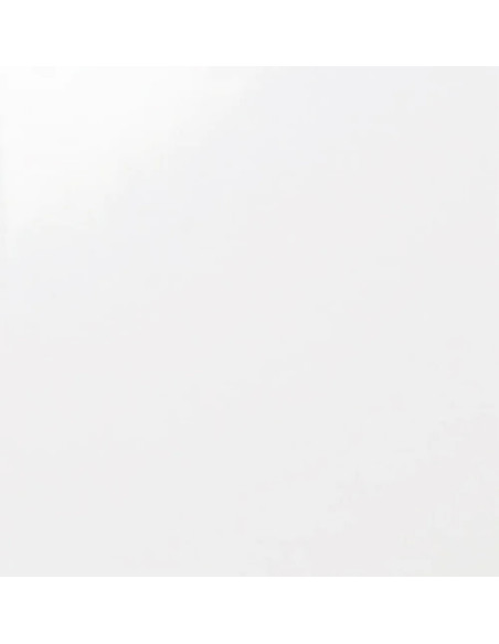 Carpio Blanco Brillo 20x20 - Ribesalbes