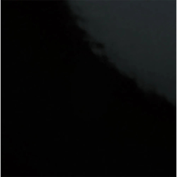 Carpio Negro Brillo 20x20 - Ribesalbes