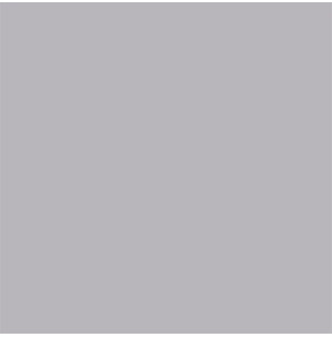 Carpio Gris C Brillo 20x20 - Ribesalbes