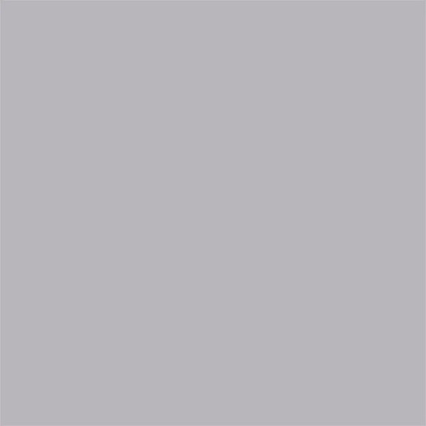 Carpio Gris C Brillo 20x20 - Ribesalbes
