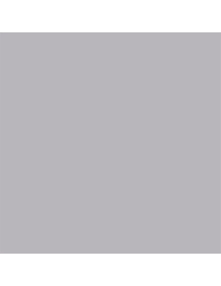 Carpio Gris C Brillo 20x20 - Ribesalbes