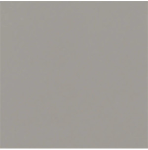 Carpio Gris F Brillo 20x20 - Ribesalbes
