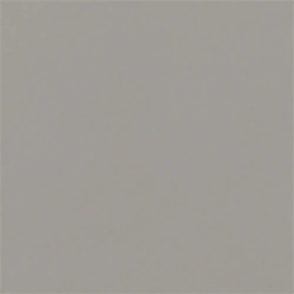Carpio Gris F Brillo 20x20 - Ribesalbes