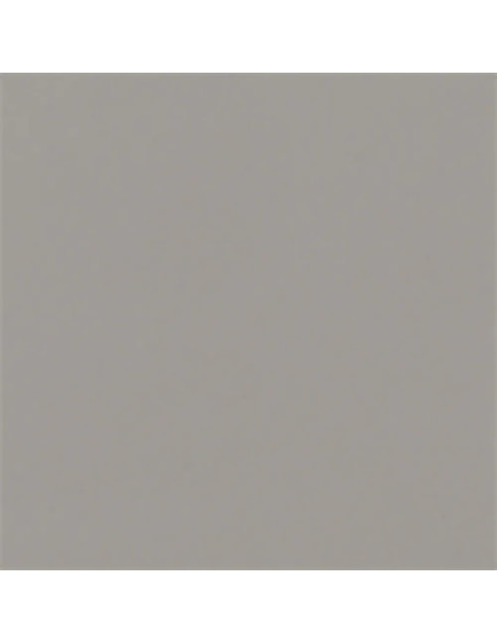 Carpio Gris F Brillo 20x20 - Ribesalbes