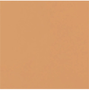 Carpio Caramelo Brillo 20x20 - Ribesalbes