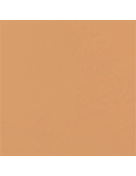 Carpio Caramelo Brillo 20x20 - Ribesalbes