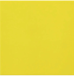 Carpio Limon Brillo 20x20 - Ribesalbes