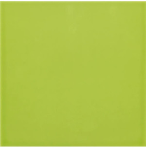 Carpio Menta Brillo 20x20 - Ribesalbes