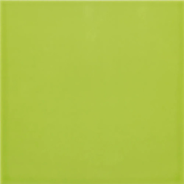 Carpio Menta Brillo 20x20 - Ribesalbes