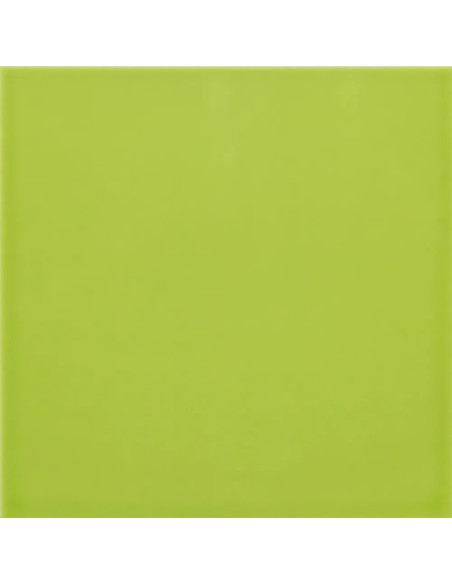 Carpio Menta Brillo 20x20 - Ribesalbes