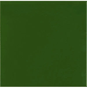 Carpio Verde Botella Brillo 20x20 - Ribesalbes