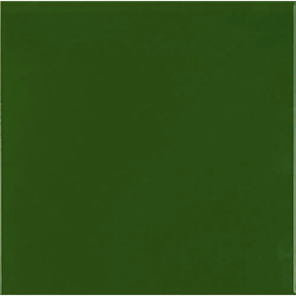 Carpio Verde Botella Brillo 20x20 - Ribesalbes