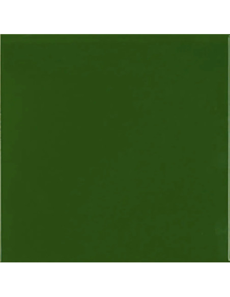 Carpio Verde Botella Brillo 20x20 - Ribesalbes