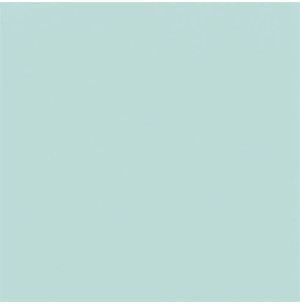 Carpio Verde C Brillo 20x20 - Ribesalbes