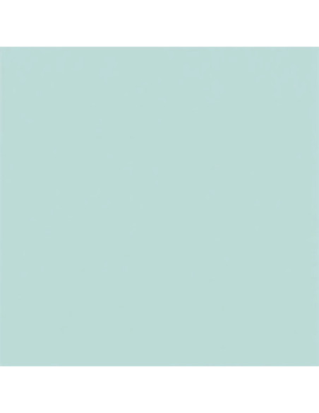Carpio Verde C Brillo 20x20 - Ribesalbes