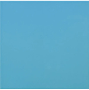 Carpio Mar Brillo 20x20 - Ribesalbes