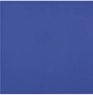 Carpio Azul Manises Brillo 20x20 - Ribesalbes