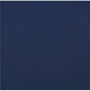 Carpio Azul F Brillo 20x20 - Ribesalbes