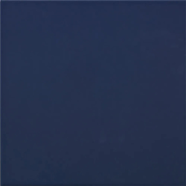 Carpio Azul F Brillo 20x20 - Ribesalbes