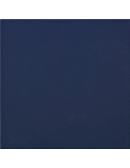 Carpio Azul F Brillo 20x20 - Ribesalbes