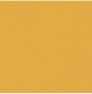 Carpio Amarillo Brillo 20x20 - Ribesalbes