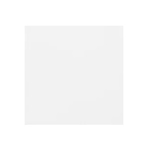 Carpio Blanco Mate 20x20 - Ribesalbes