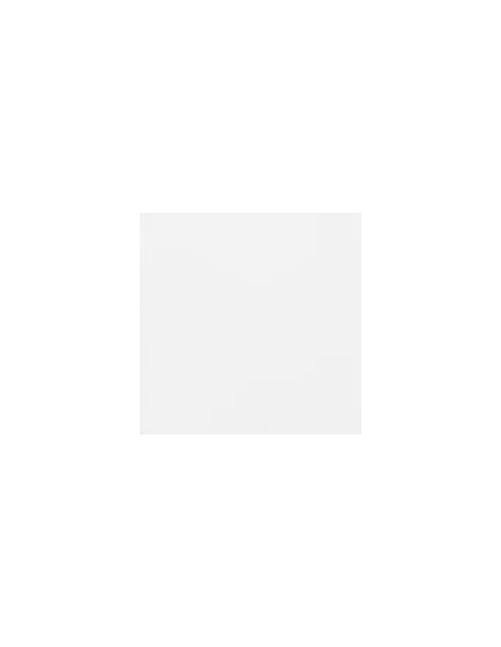 Carpio Blanco Mate 20x20 - Ribesalbes