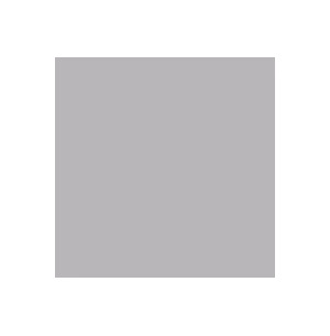 Carpio Gris C Mate 20x20 - Ribesalbes