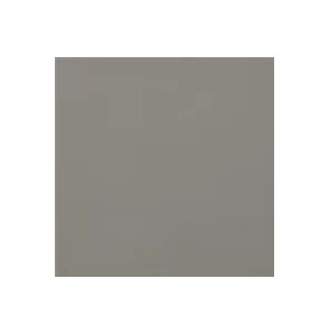 Carpio Gris F Mate 20x20 - Ribesalbes
