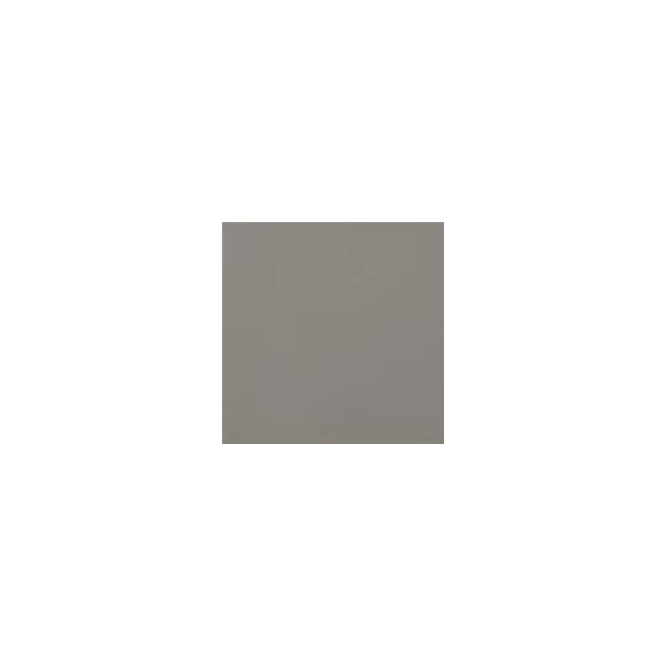 Carpio Gris F Mate 20x20 - Ribesalbes