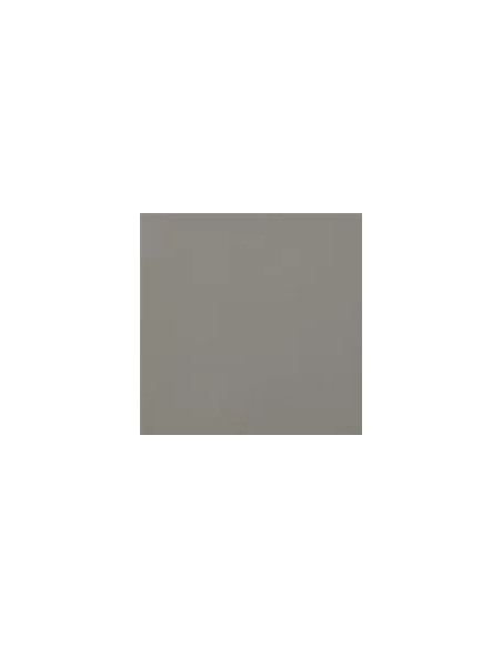 Carpio Gris F Mate 20x20 - Ribesalbes