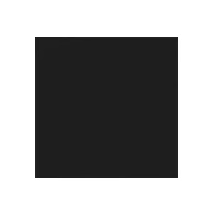 Carpio Negro Mate 20x20 - Ribesalbes