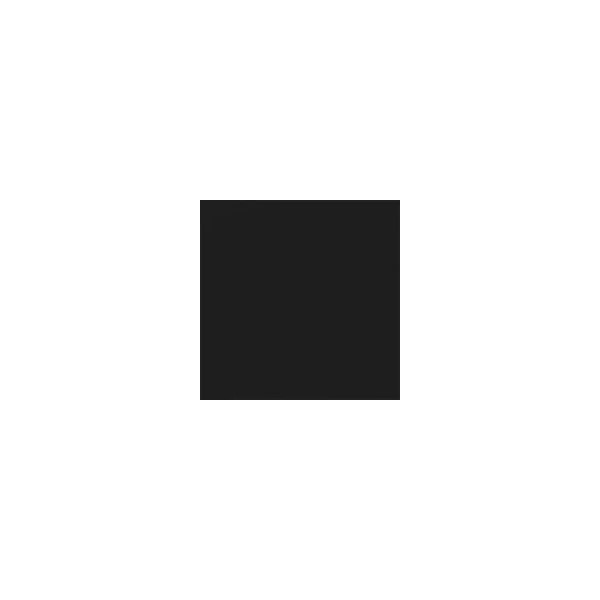 Carpio Negro Mate 20x20 - Ribesalbes